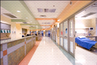 pp288c0568.png